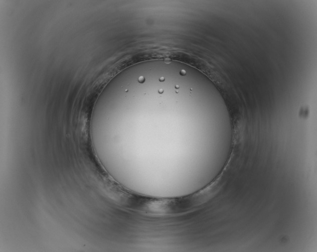 X0000111610178200907311148