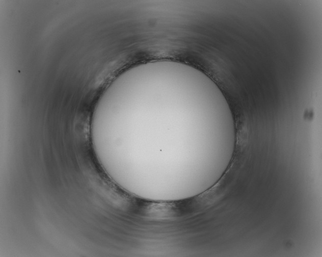 X0000111610179200907311148