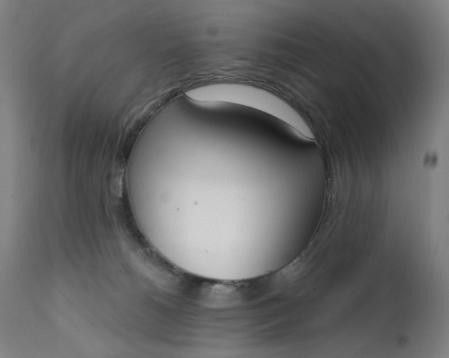 X0000111610180200907311148