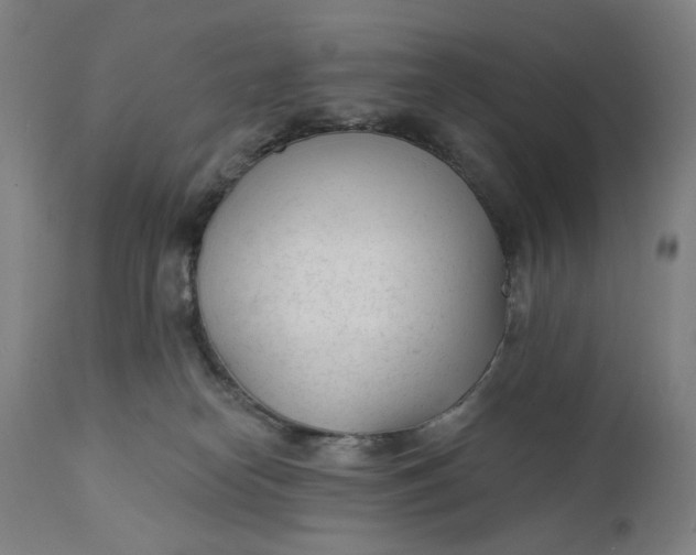 X0000111610182200907311148