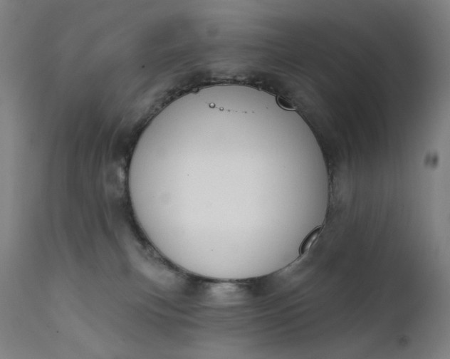 X0000111610183200907311148