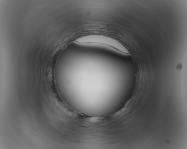 X0000111610184200907311148