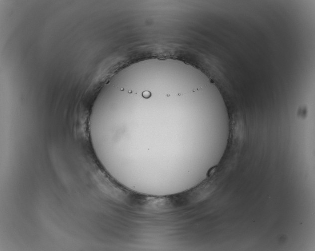 X0000111610185200907311148