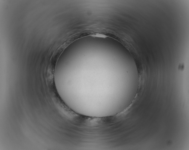 X0000111610186200907311148