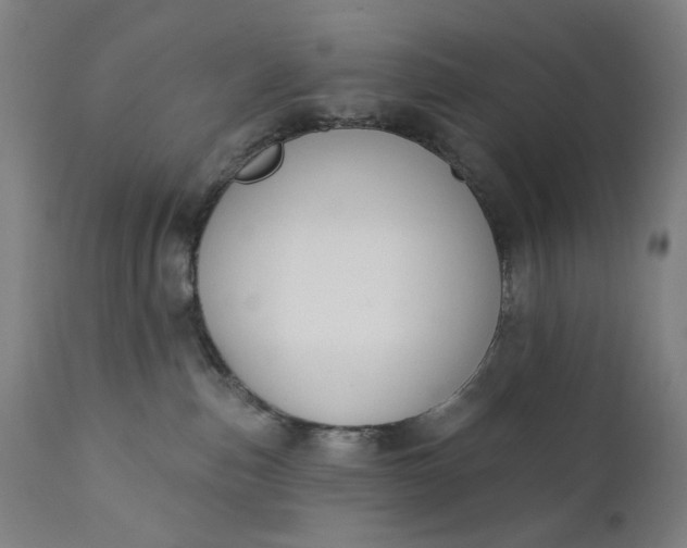 X0000111610187200907311148