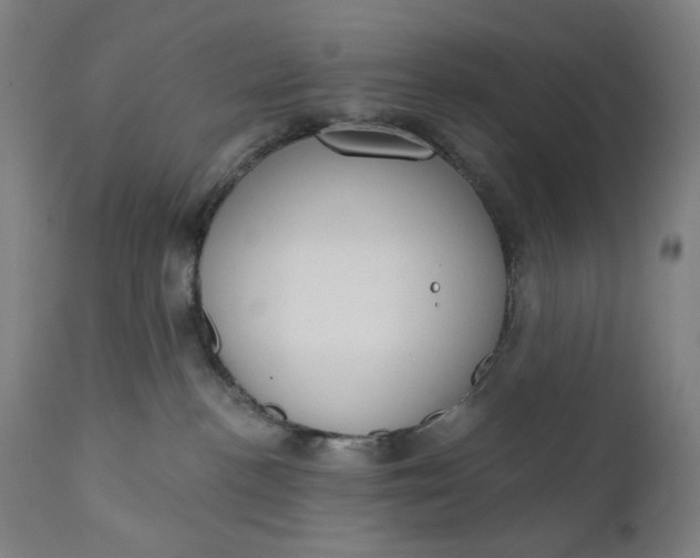 X0000111610188200907311148