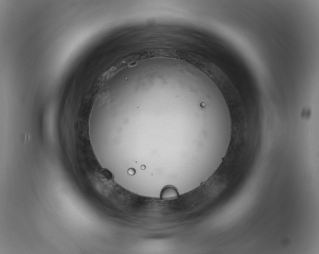 X0000111610189200907311148