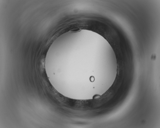 X0000111610190200907311148