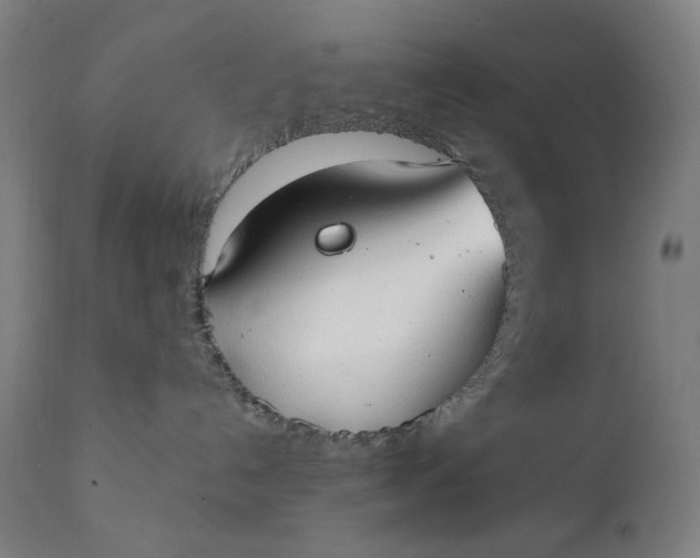 X0000111610192200907311148