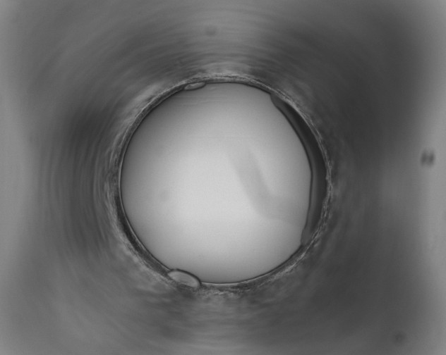 X0000111610193200907311147