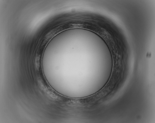 X0000111610194200907311147