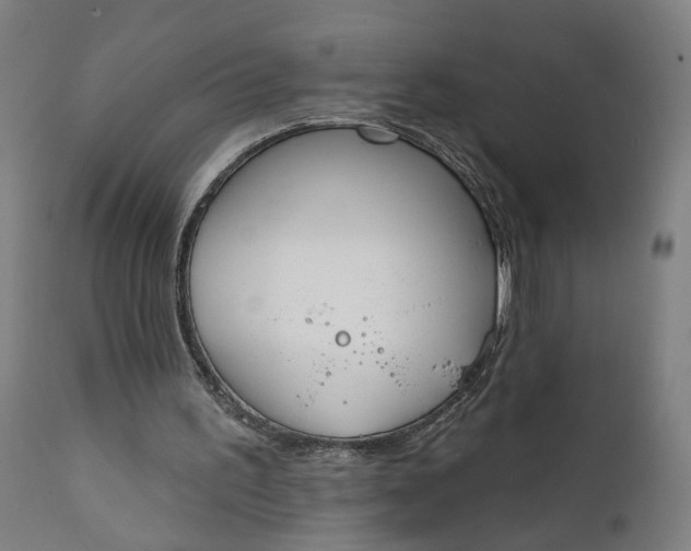 X0000111610195200907311147