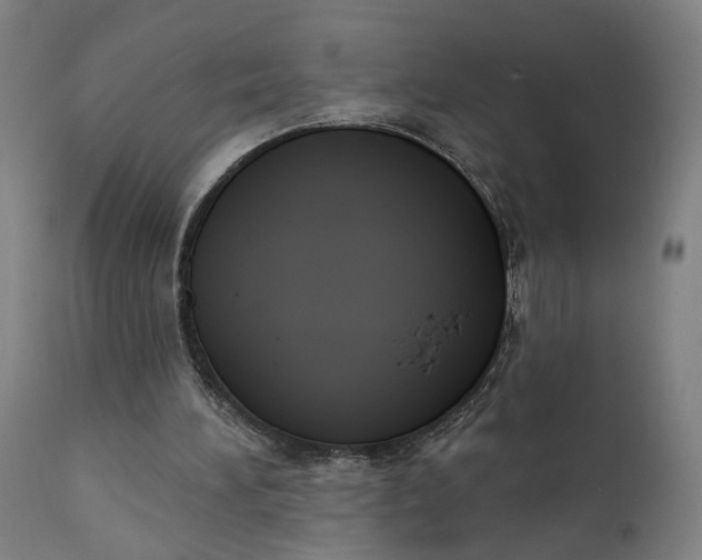 X0000111610196200907311147