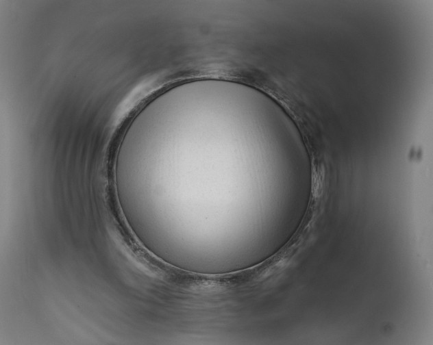 X0000111610198200907311147