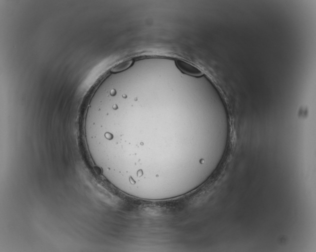 X0000111610199200907311147