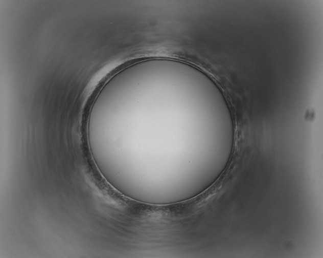 X0000111610200200907311147