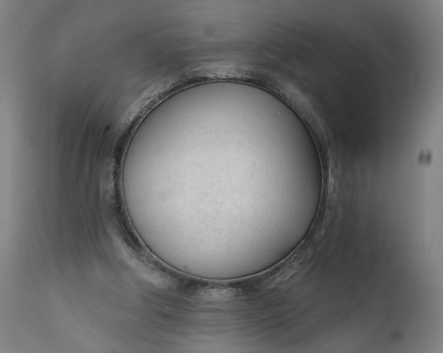 X0000111610202200907311147