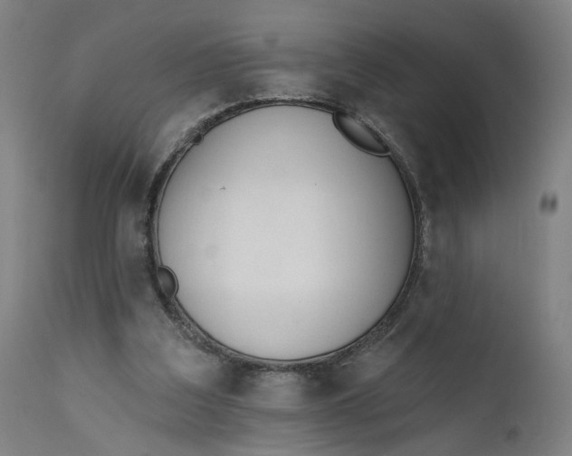 X0000111610203200907311147