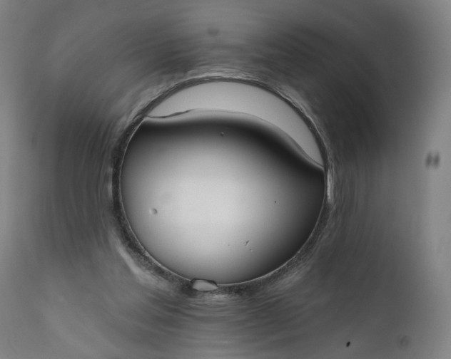 X0000111610205200907311147