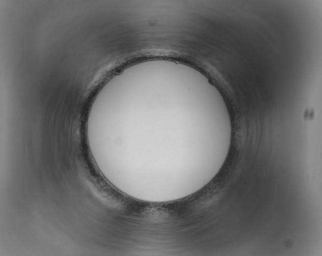 X0000111610207200907311147