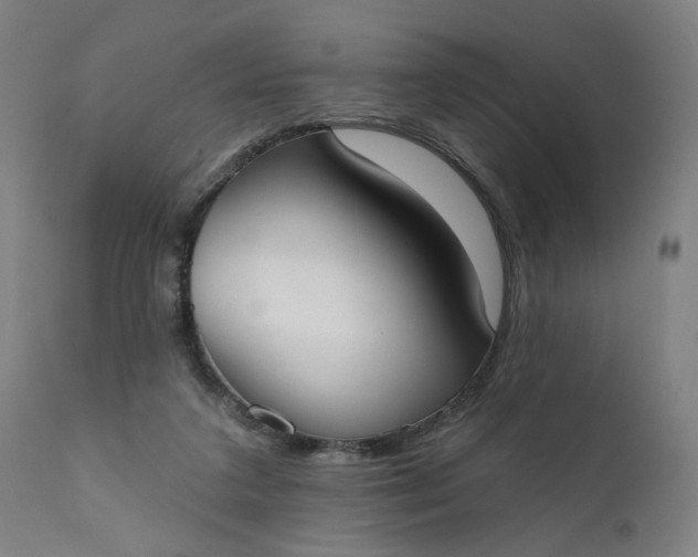 X0000111610211200907311147