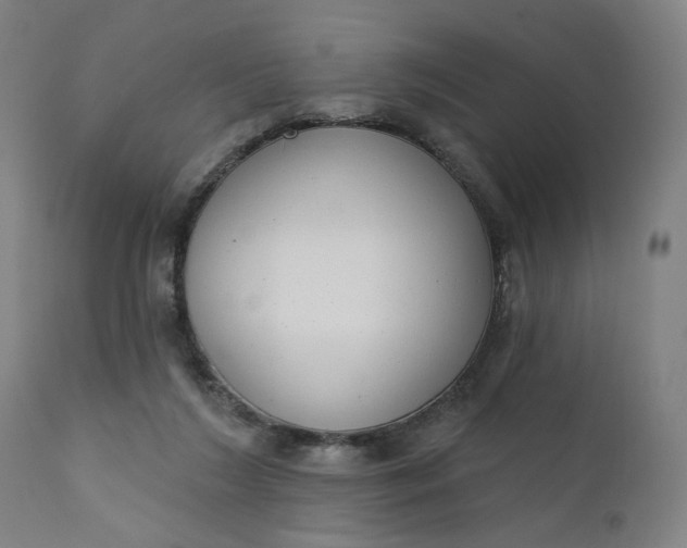 X0000111610212200907311147