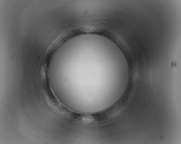 X0000111610214200907311146