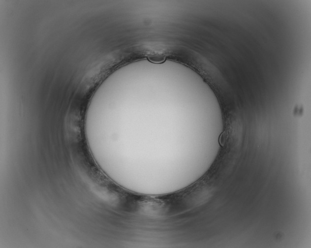 X0000111610215200907311146