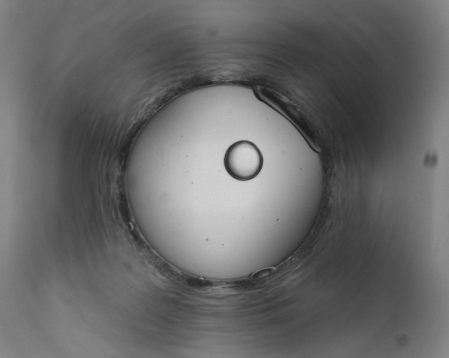 X0000111610219200907311146