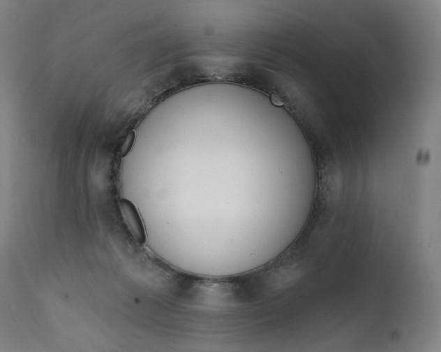 X0000111610221200907311146