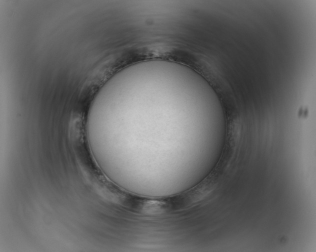 X0000111610222200907311146