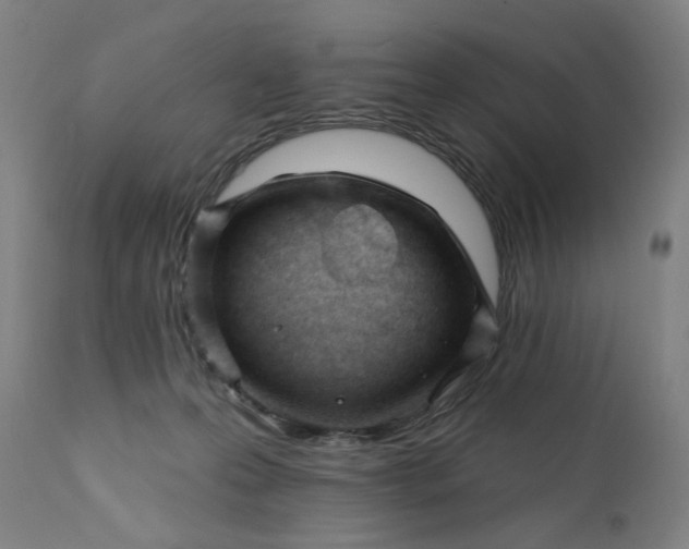 X0000111610223200907311146