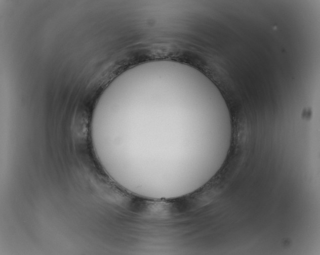 X0000111610226200907311146