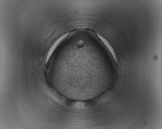 X0000111610227200907311146