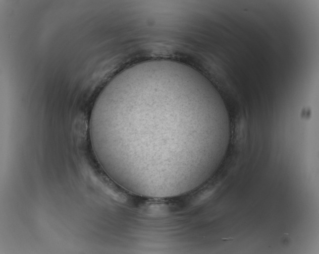 X0000111610228200907311146