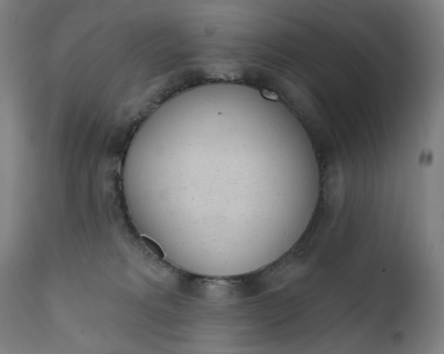 X0000111610229200907311146