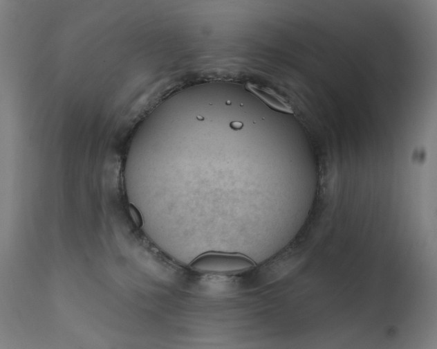 X0000111610231200907311146