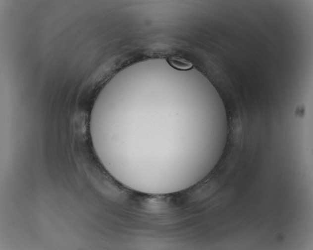 X0000111610232200907311146