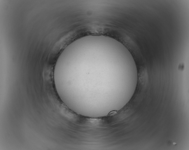 X0000111610233200907311146