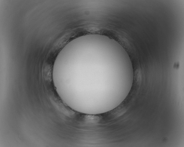 X0000111610234200907311146