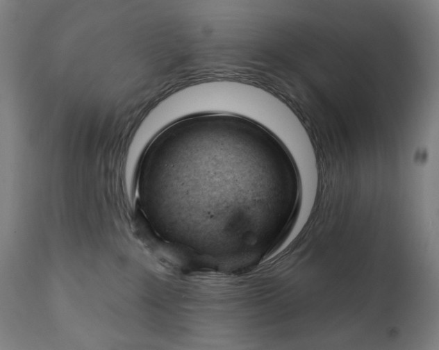 X0000111610235200907311146