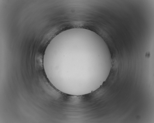 X0000111610238200907311146