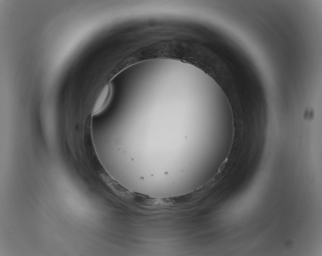 X0000111610239200907311146