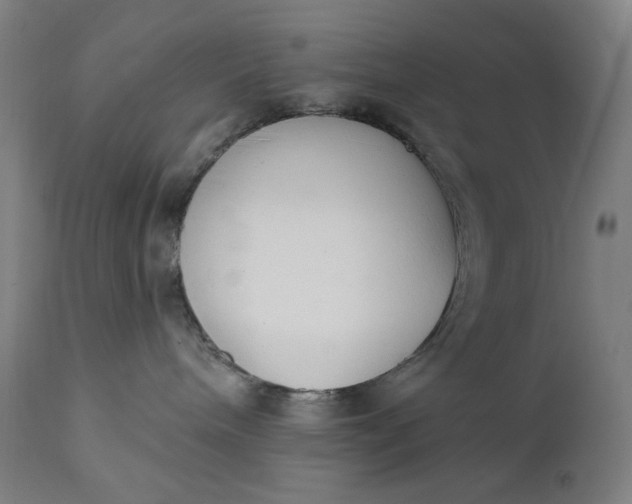 X0000111610240200907311146