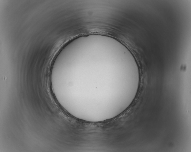 X0000111610241200907311145