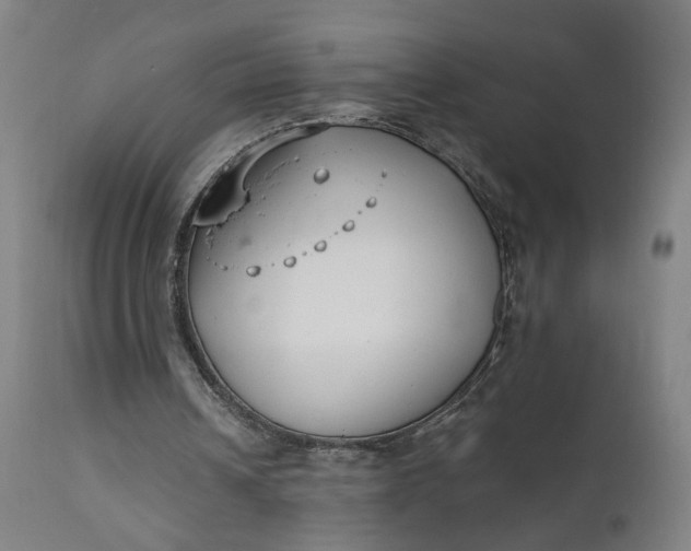 X0000111610242200907311145