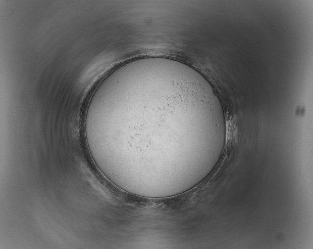 X0000111610243200907311145