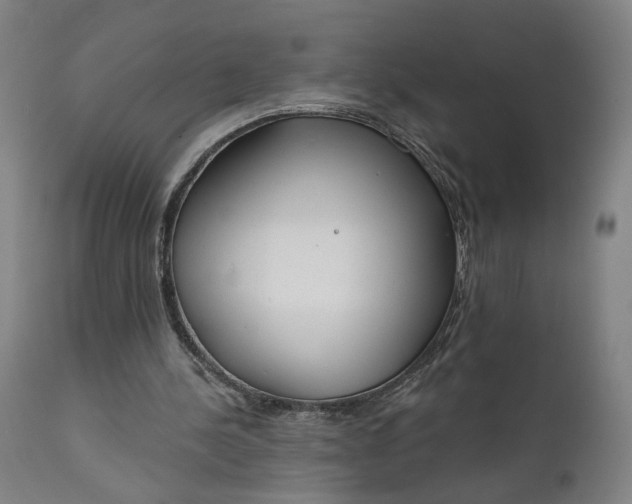 X0000111610244200907311146