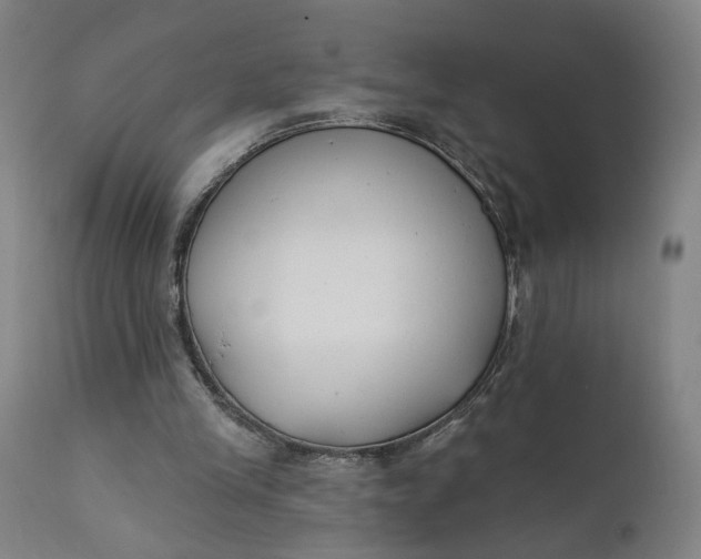 X0000111610245200907311146