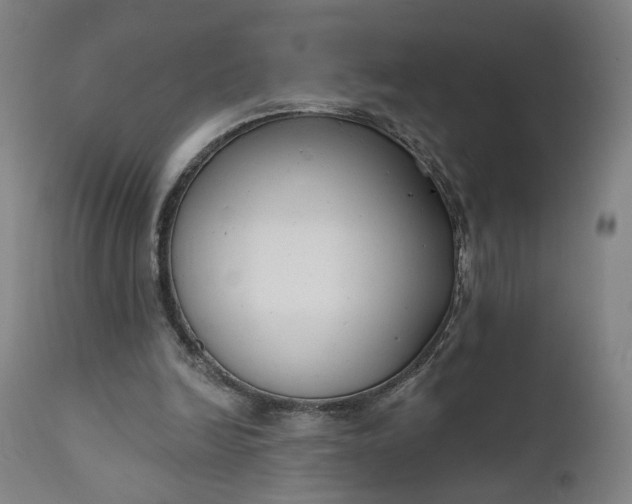 X0000111610246200907311146